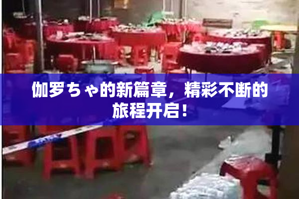 伽罗ちゃ的新篇章，精彩不断的旅程开启！