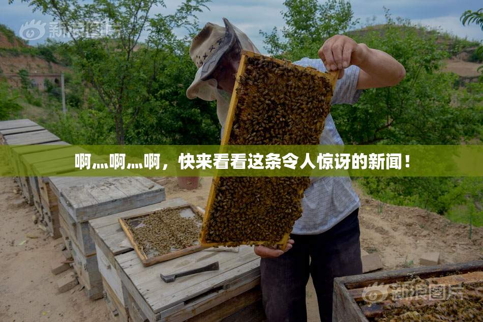啊灬啊灬啊，快来看看这条令人惊讶的新闻！