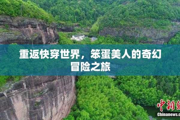 重返快穿世界，笨蛋美人的奇幻冒险之旅