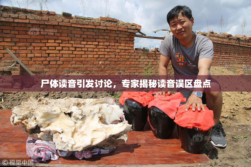 尸体读音引发讨论，专家揭秘读音误区盘点