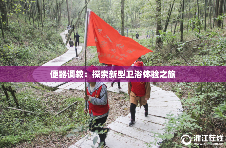 便器调教：探索新型卫浴体验之旅