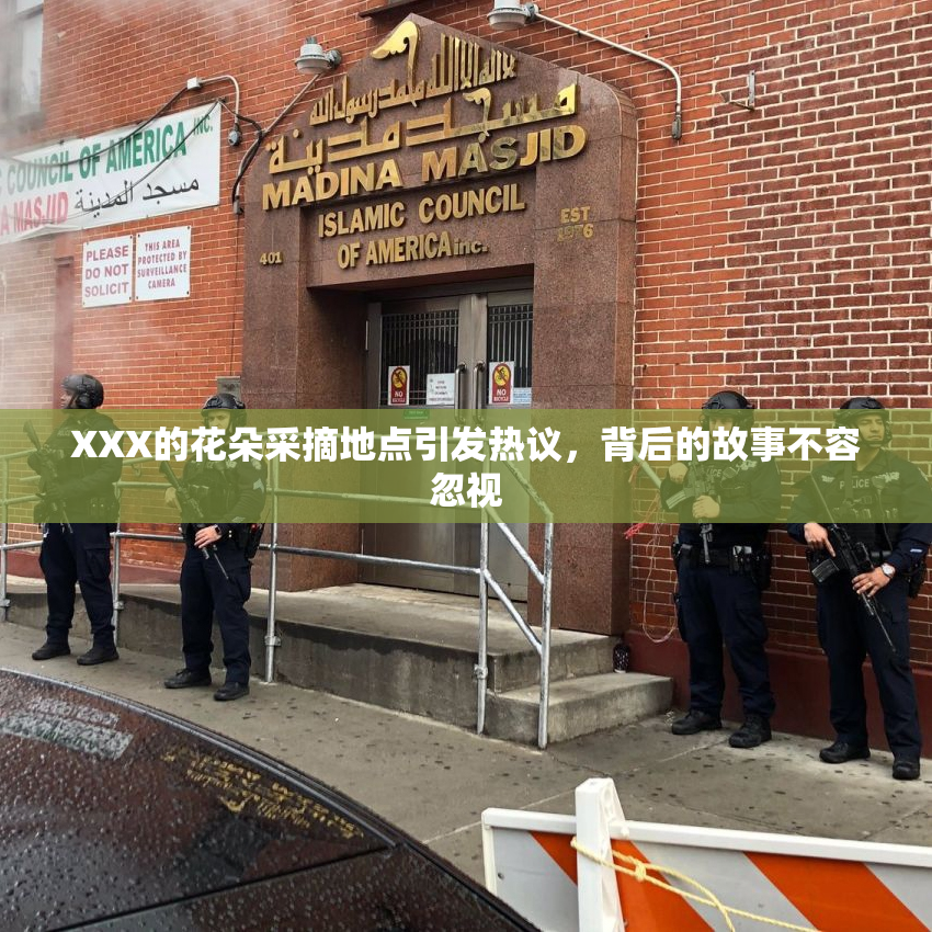 XXX的花朵采摘地点引发热议，背后的故事不容忽视