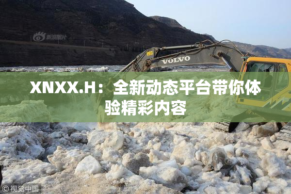 XNXX.H：全新动态平台带你体验精彩内容