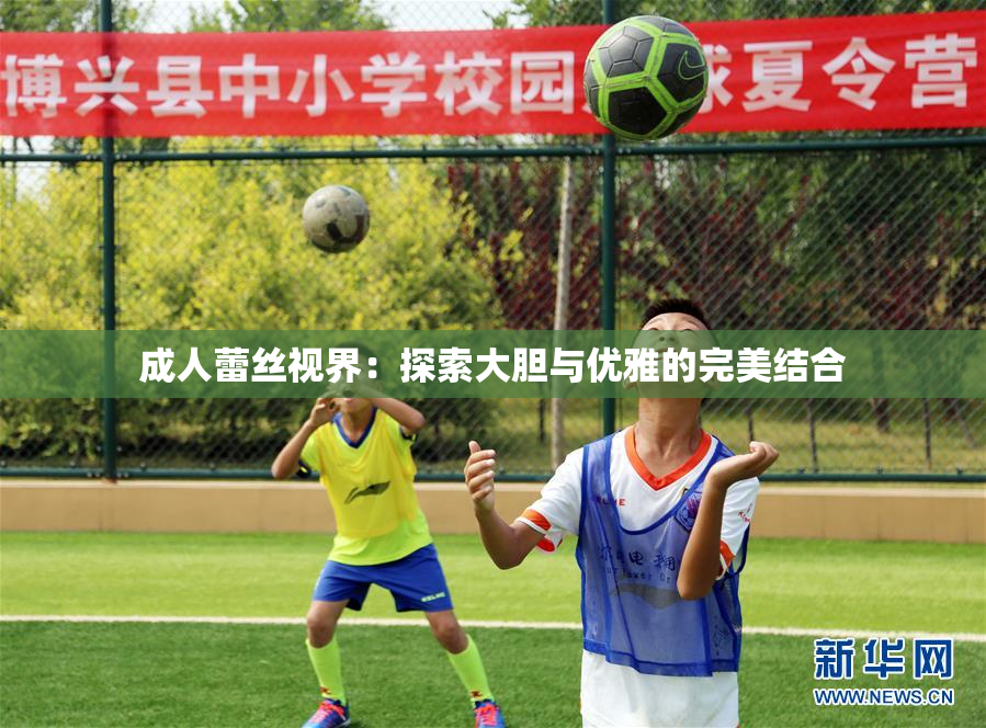 成人蕾丝视界：探索大胆与优雅的完美结合