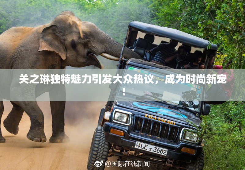 关之琳独特魅力引发大众热议，成为时尚新宠！