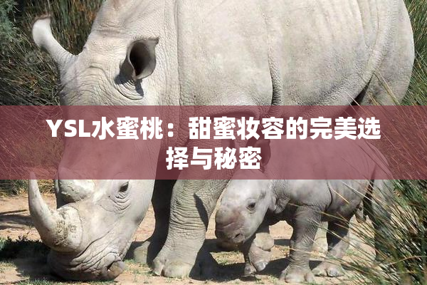 YSL水蜜桃：甜蜜妆容的完美选择与秘密