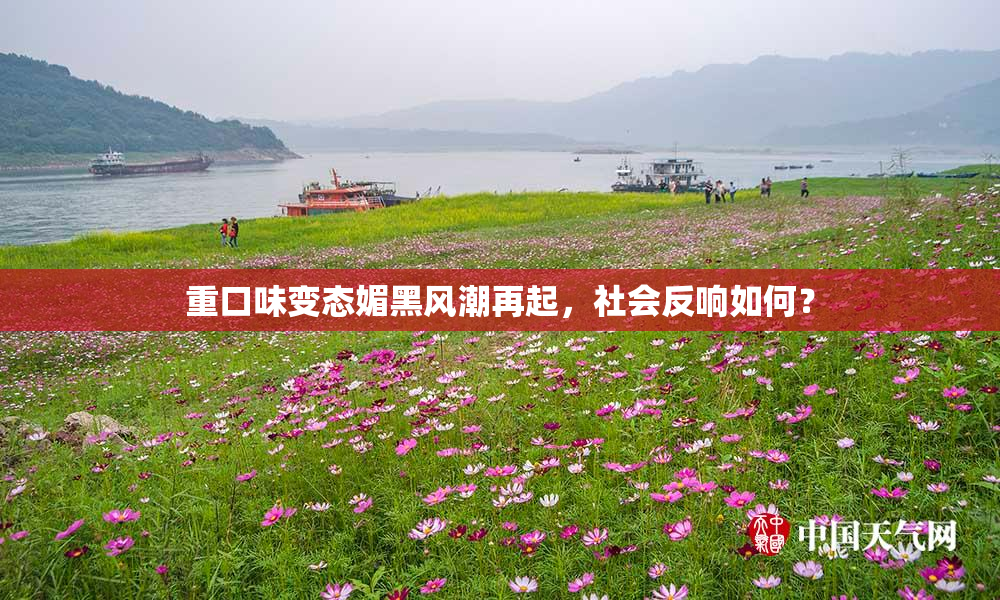 重口味变态媚黑风潮再起，社会反响如何？