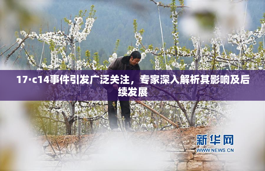 17·c14事件引发广泛关注，专家深入解析其影响及后续发展