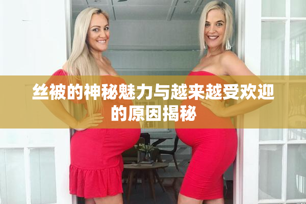 丝被的神秘魅力与越来越受欢迎的原因揭秘