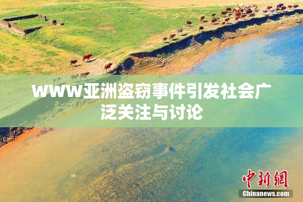 WWW亚洲盗窃事件引发社会广泛关注与讨论
