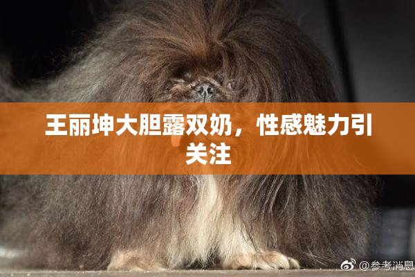 王丽坤大胆露双奶，性感魅力引关注