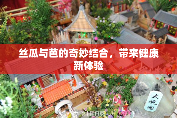 丝瓜与芭的奇妙结合，带来健康新体验