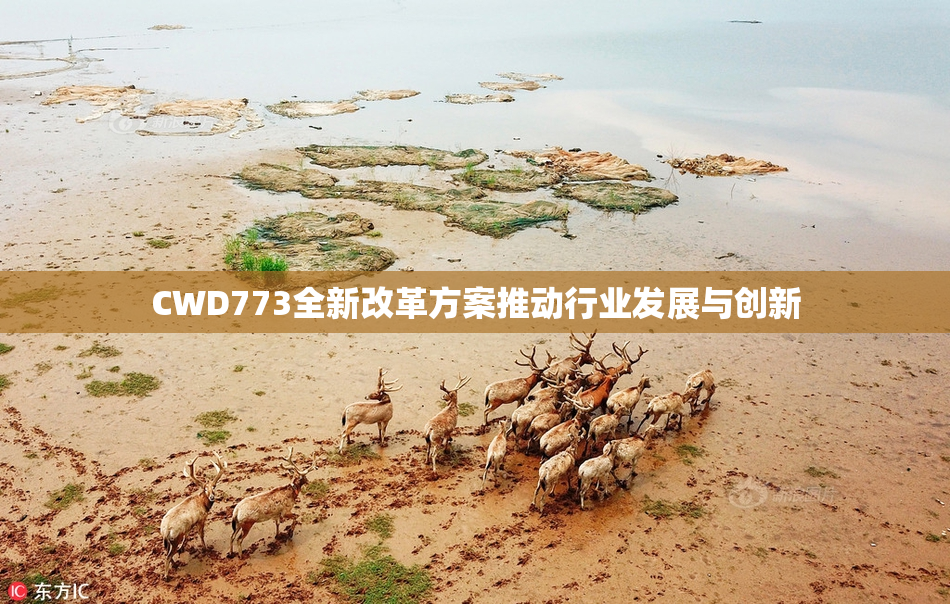 CWD773全新改革方案推动行业发展与创新