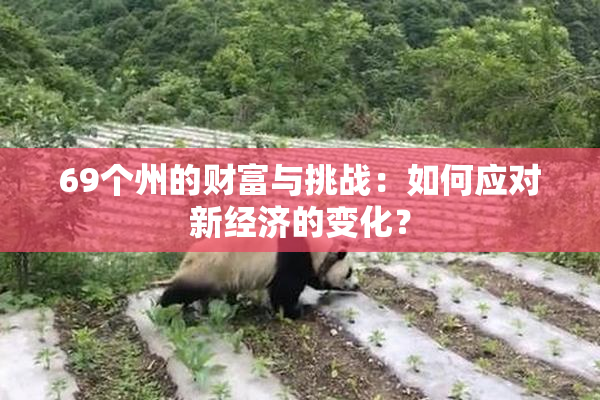 69个州的财富与挑战：如何应对新经济的变化？