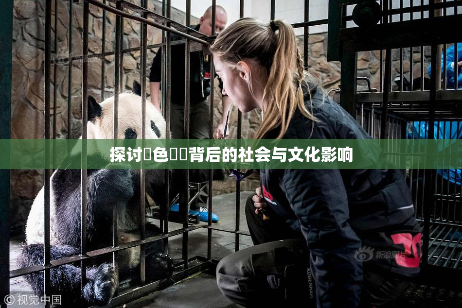 探讨黃色亂倫背后的社会与文化影响