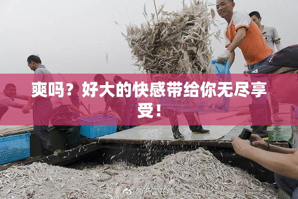 爽吗？好大的快感带给你无尽享受！