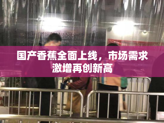 国产香蕉全面上线，市场需求激增再创新高