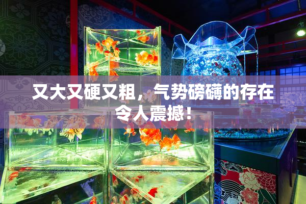 又大又硬又粗，气势磅礴的存在令人震撼！