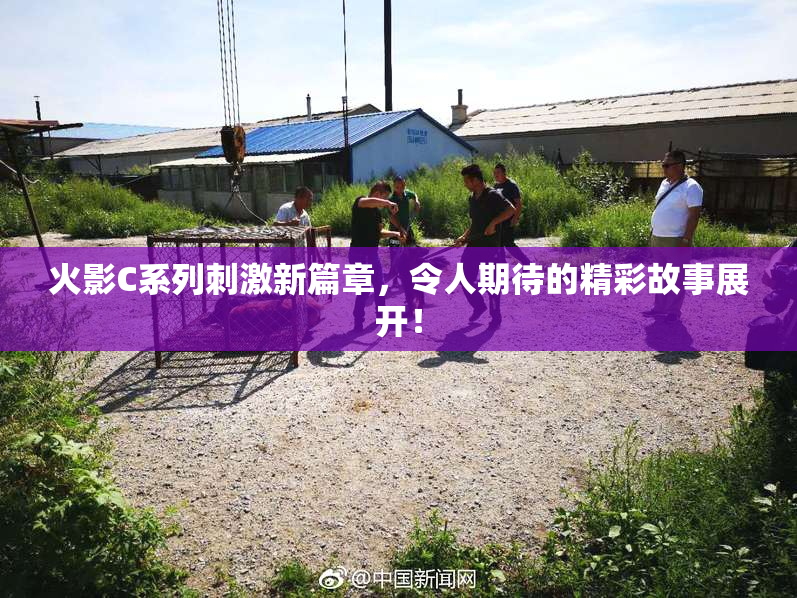 火影C系列刺激新篇章，令人期待的精彩故事展开！