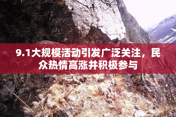 9.1大规模活动引发广泛关注，民众热情高涨并积极参与