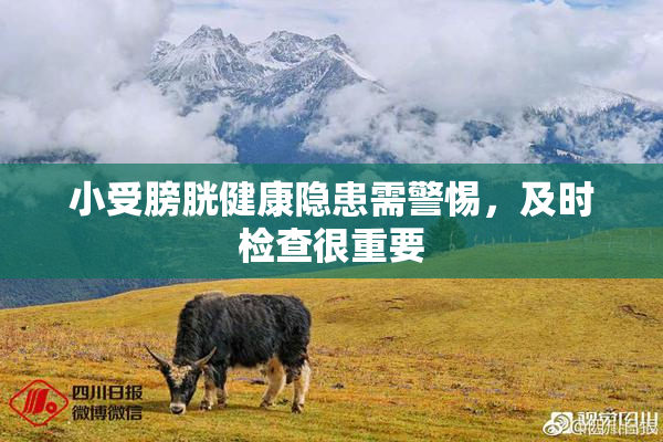 小受膀胱健康隐患需警惕，及时检查很重要
