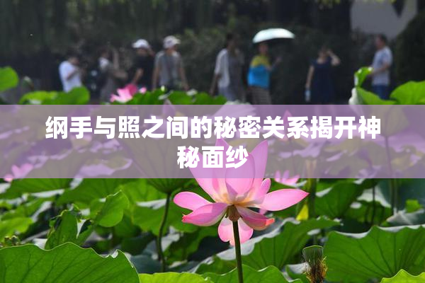 纲手与照之间的秘密关系揭开神秘面纱