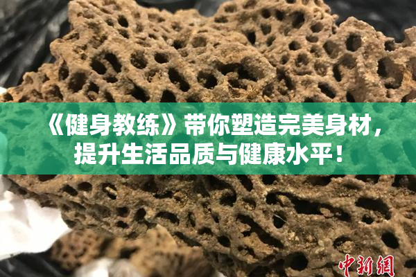 《健身教练》带你塑造完美身材，提升生活品质与健康水平！