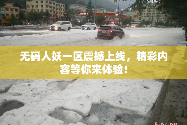 无码人妖一区震撼上线，精彩内容等你来体验！