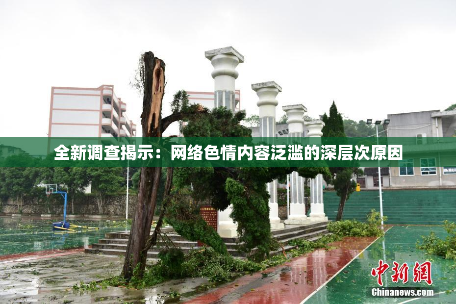 全新调查揭示：网络色情内容泛滥的深层次原因