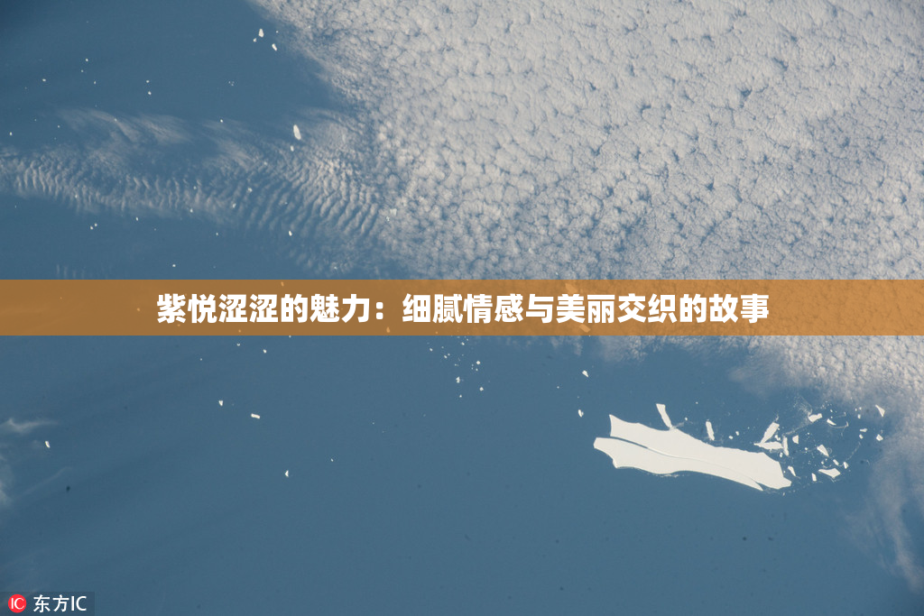 紫悦涩涩的魅力：细腻情感与美丽交织的故事