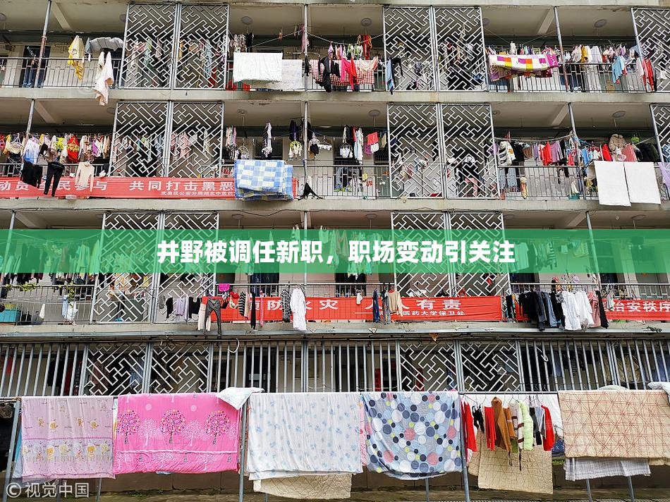 井野被调任新职，职场变动引关注