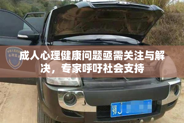 成人心理健康问题亟需关注与解决，专家呼吁社会支持