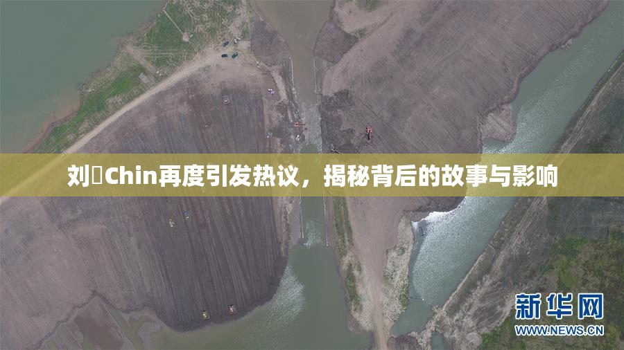 刘玥Chin再度引发热议，揭秘背后的故事与影响
