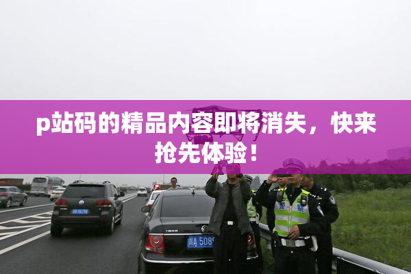 p站码的精品内容即将消失，快来抢先体验！