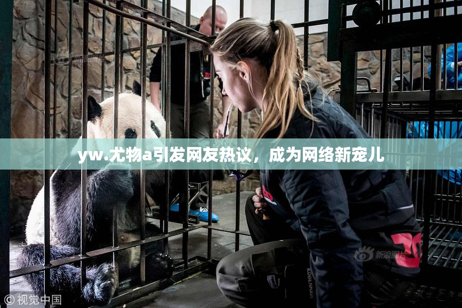 yw.尤物a引发网友热议，成为网络新宠儿