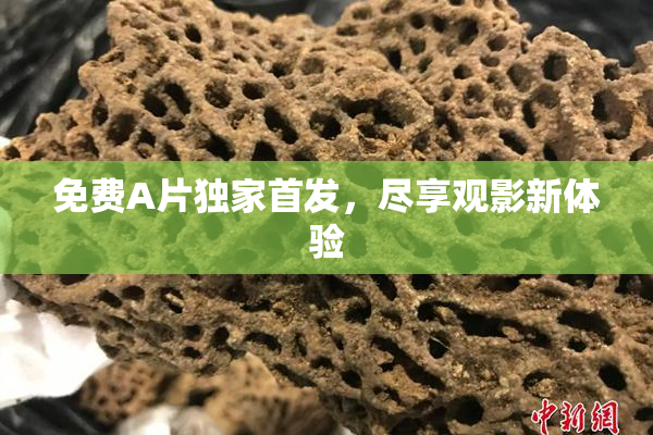 免费A片独家首发，尽享观影新体验