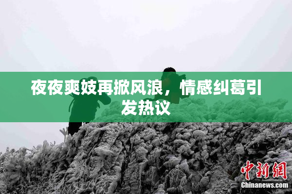 夜夜爽妓再掀风浪，情感纠葛引发热议