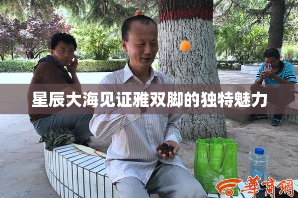 星辰大海见证雅双脚的独特魅力