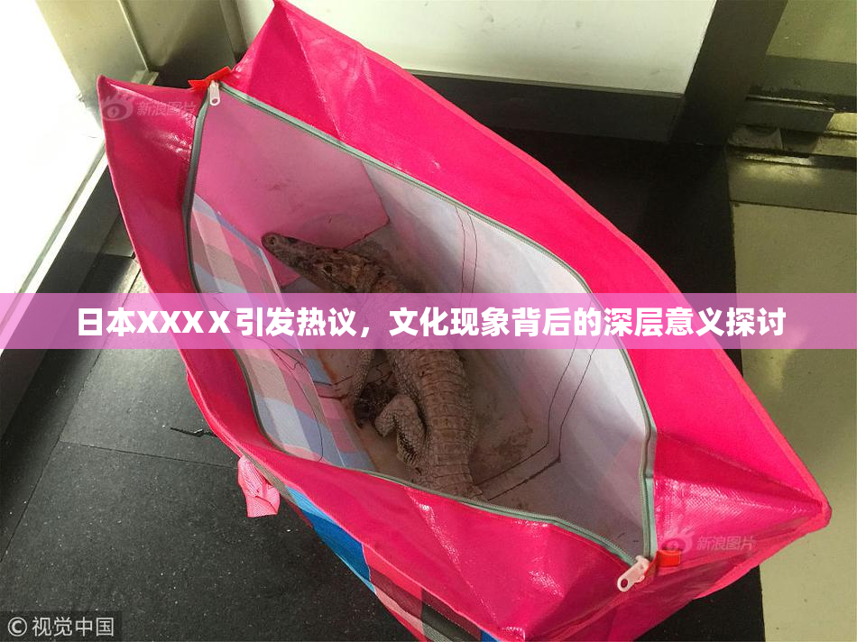 日本XXXⅩ引发热议，文化现象背后的深层意义探讨