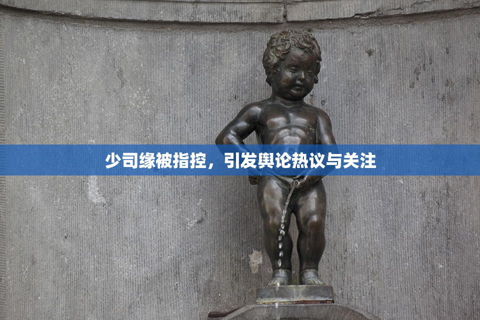 少司缘被指控，引发舆论热议与关注
