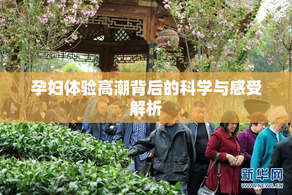 孕妇体验高潮背后的科学与感受解析