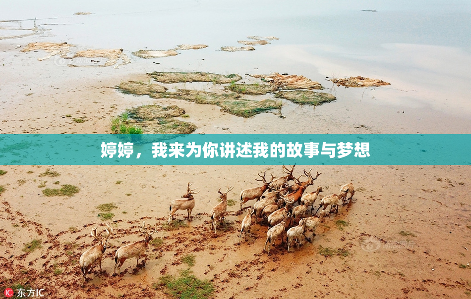 婷婷，我来为你讲述我的故事与梦想