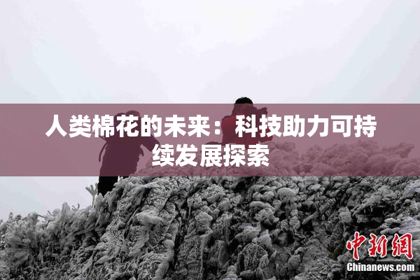 人类棉花的未来：科技助力可持续发展探索