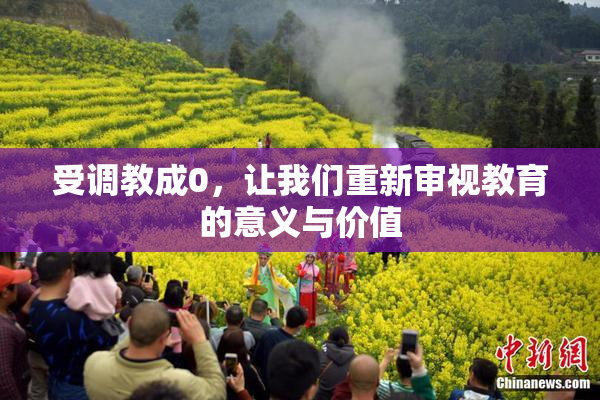 受调教成0，让我们重新审视教育的意义与价值
