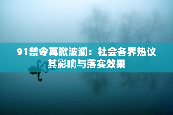 91禁令再掀波澜：社会各界热议其影响与落实效果
