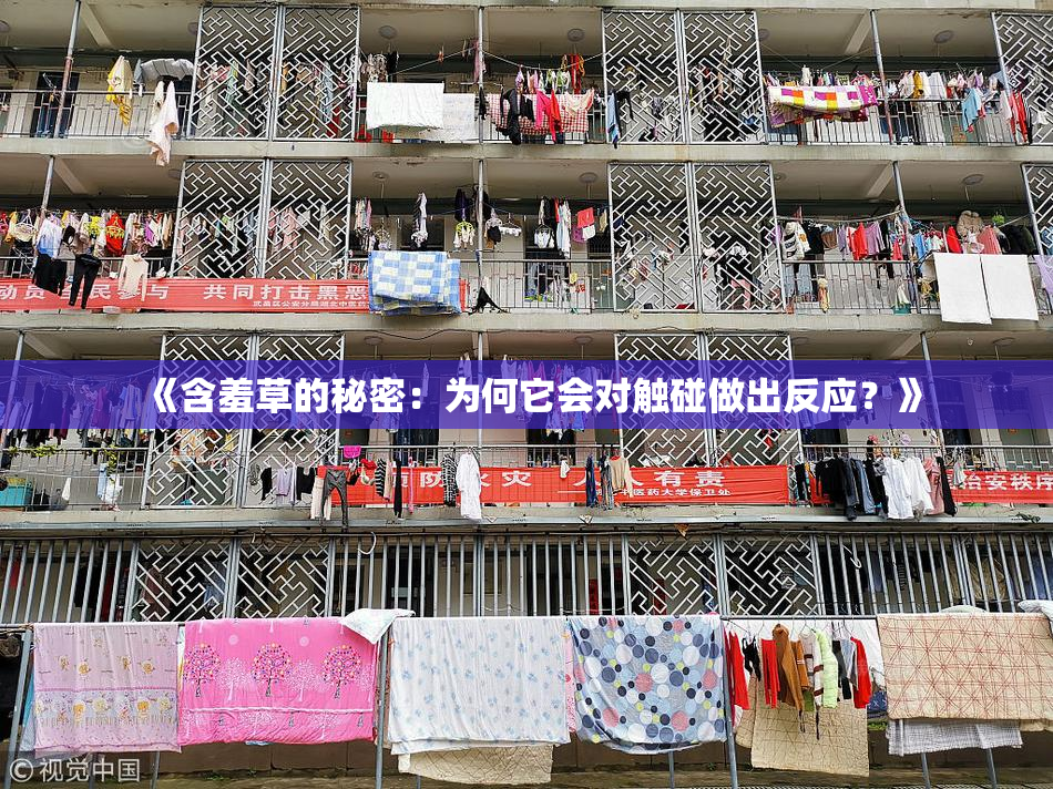 《含羞草的秘密：为何它会对触碰做出反应？》