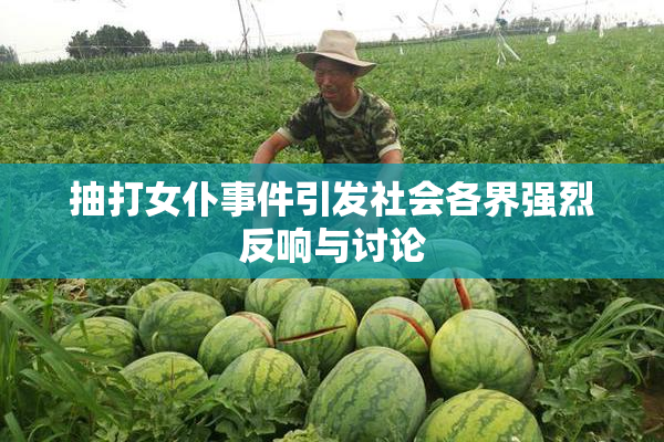 抽打女仆事件引发社会各界强烈反响与讨论