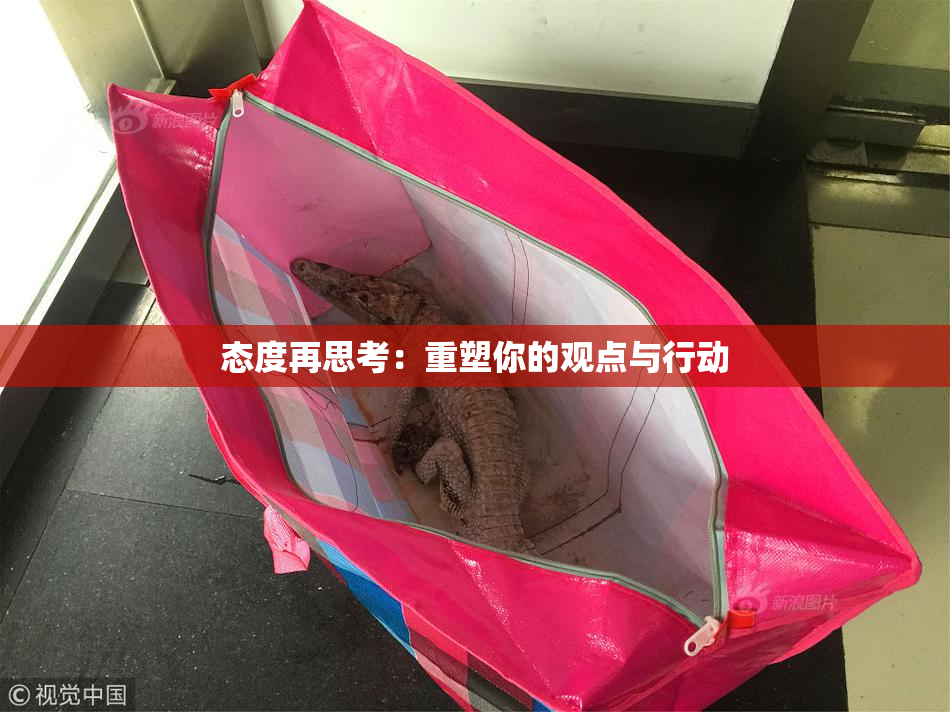 态度再思考：重塑你的观点与行动