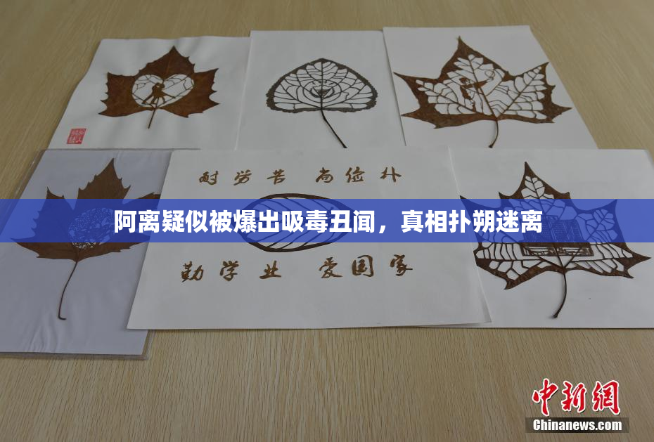 阿离疑似被爆出吸毒丑闻，真相扑朔迷离