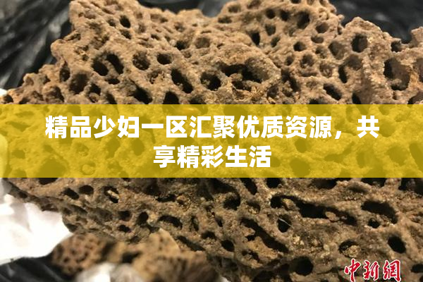 精品少妇一区汇聚优质资源，共享精彩生活